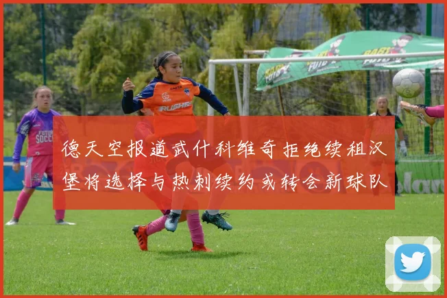 德天空报道武什科维奇拒绝续租汉堡将选择与热刺续约或转会新球队